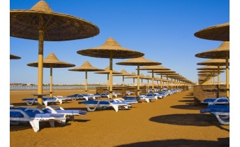 parasol_exotique